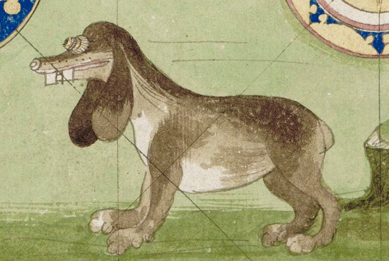 A striking depiction of a fearful medieval dog