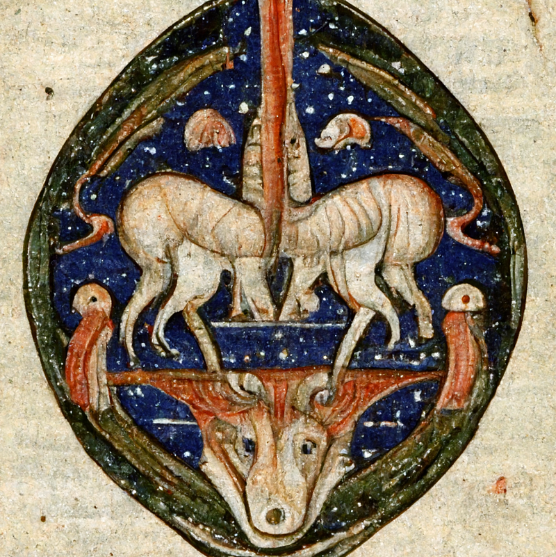 Another unique interpretation of three medieval dogs