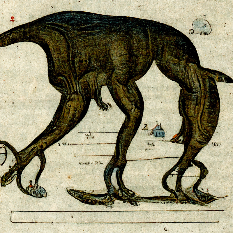 Another unique generative artwork of a dog from the medieval era