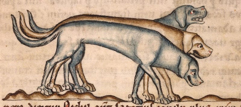 A trio of medieval dogs, whimsically portrayed