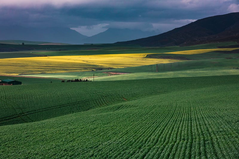 The USA has ample farmland for hemp cultivation