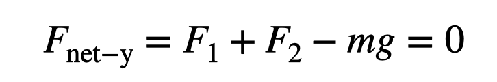 Net Forces in the Y-Direction