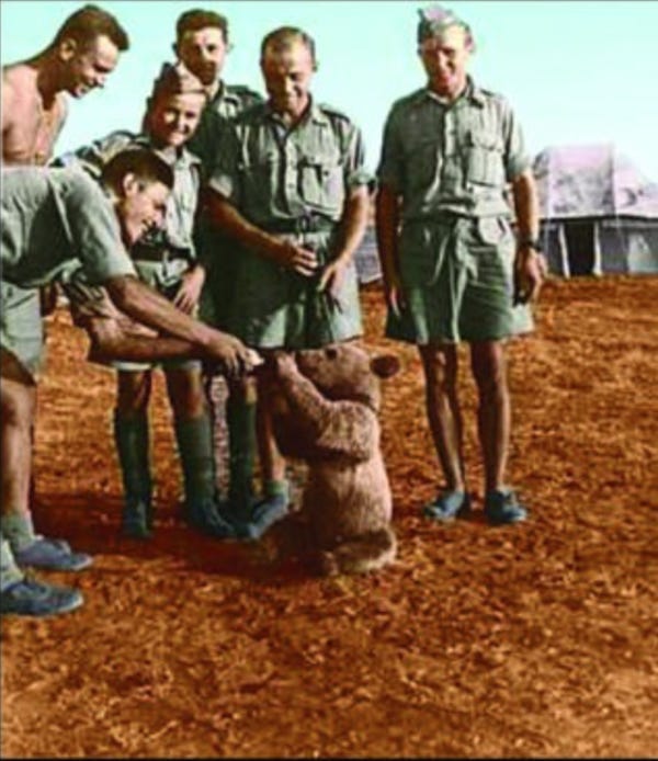 Wojtek the bear during WWII