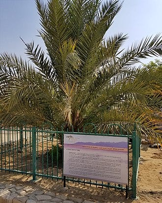 Young Methuselah at the Arava Institute