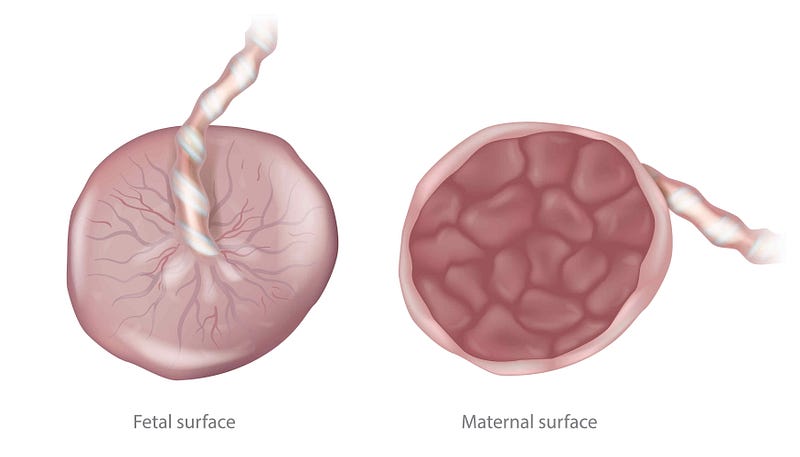 Microplastics found in breast milk