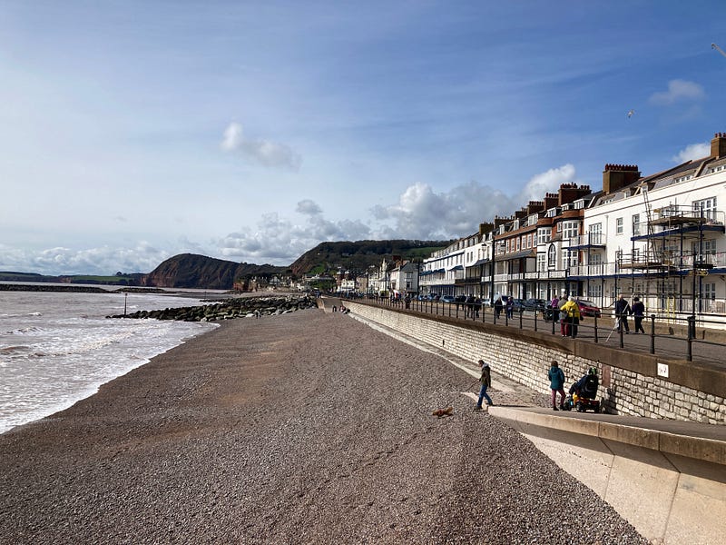 Beautiful blossoms in Sidmouth