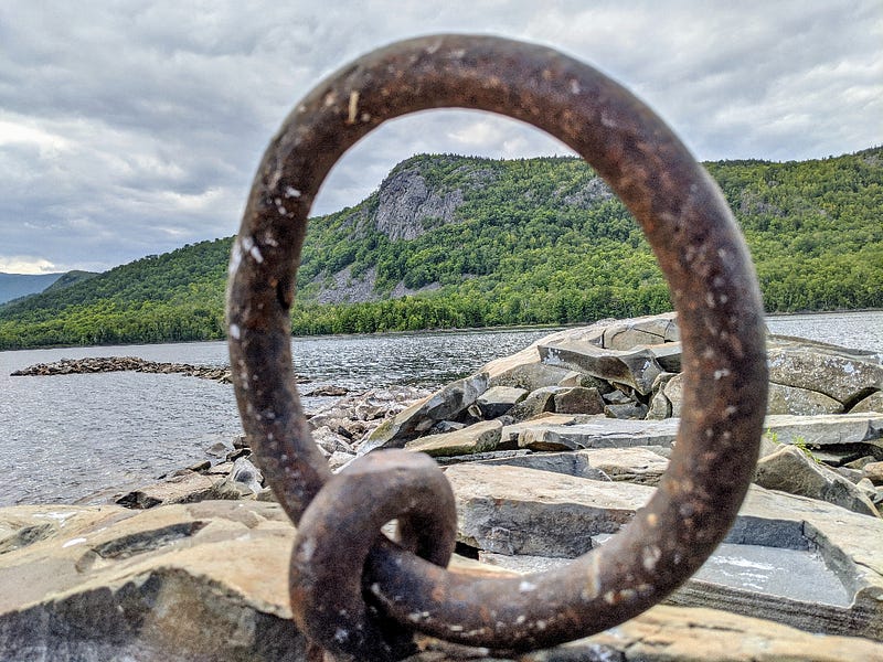 Remnant of logging industry in nature