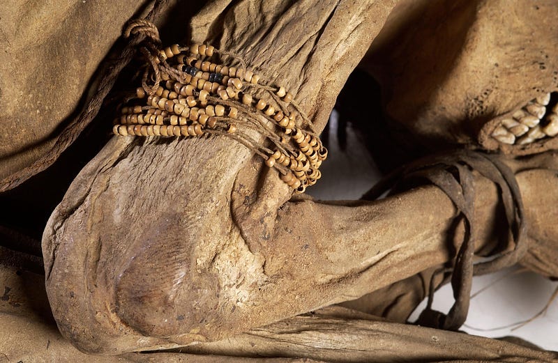 Close-up of mummy's facial features