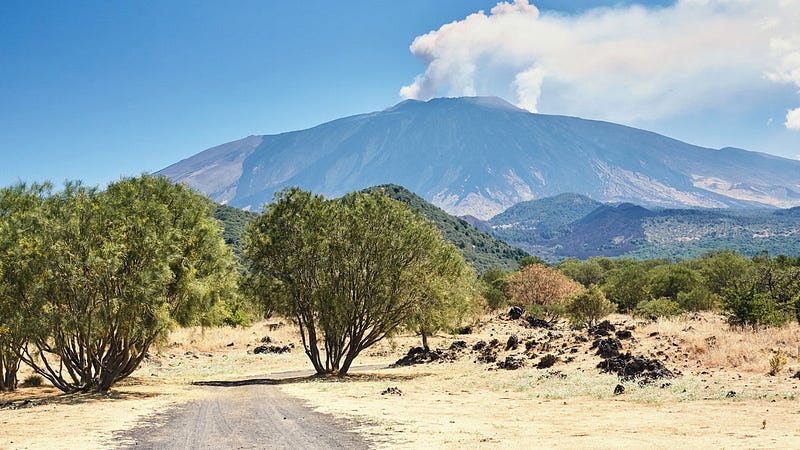 Greener trees near a volcano signal potential eruptions