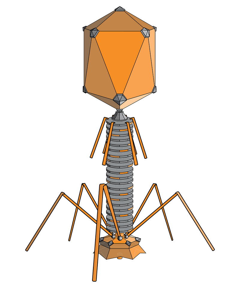 An artistic representation of a bacteriophage, showcasing its structure.