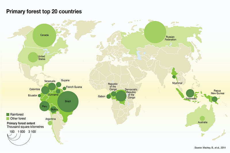 Global distribution of primary forests