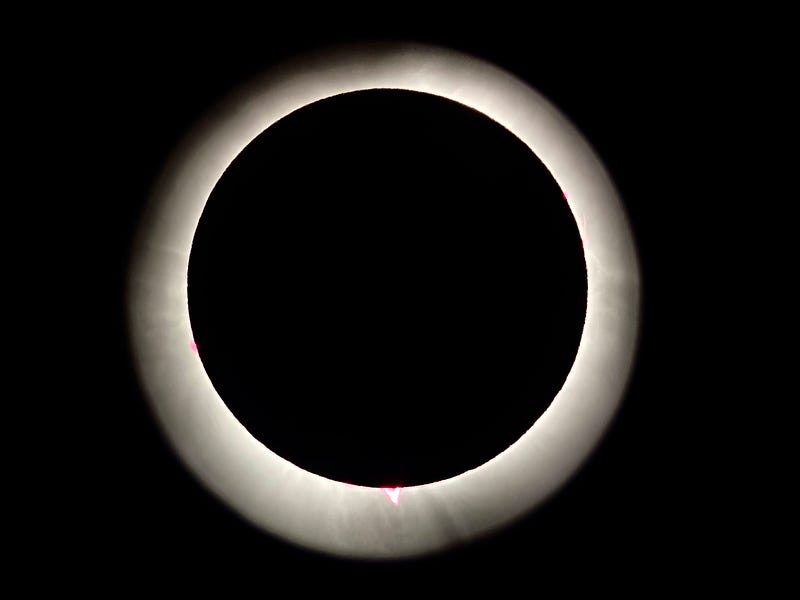 Eclipse totality showing solar prominences