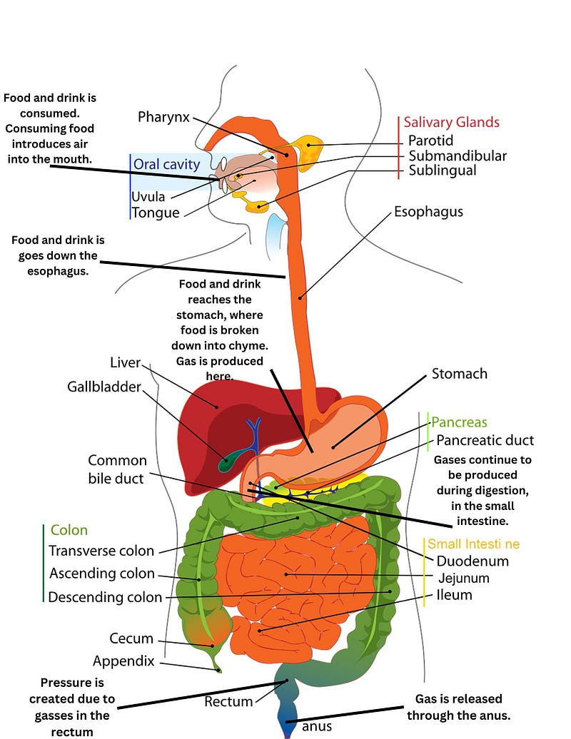 Diagram depicting the gas expulsion process