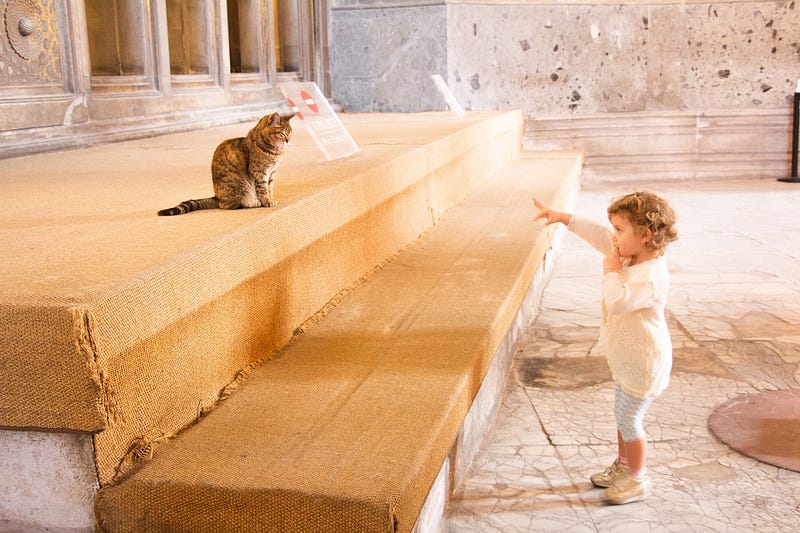 Child engaging in educational activities